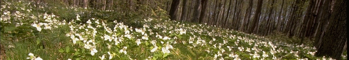 natural_history_img
