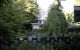 image11.jpg