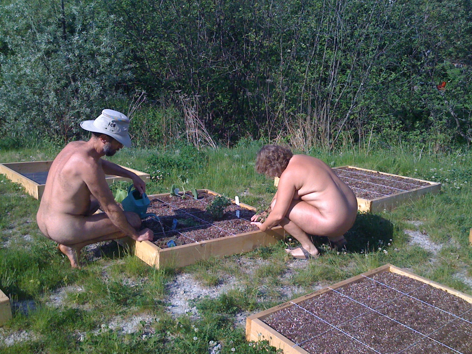 Square Foot community gardens at Bare Oaks Family Naturist Park